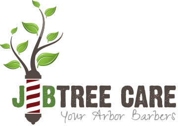 J and B Tree Care